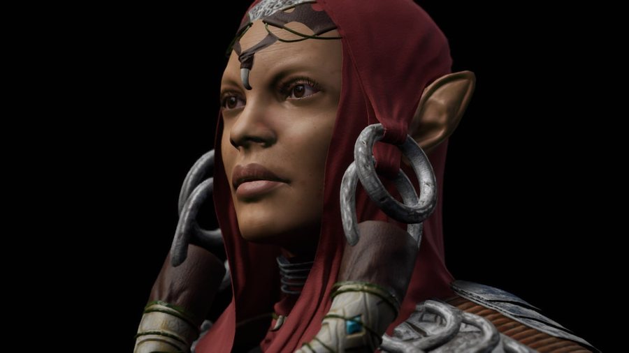 Elf warrior three-quarter profile